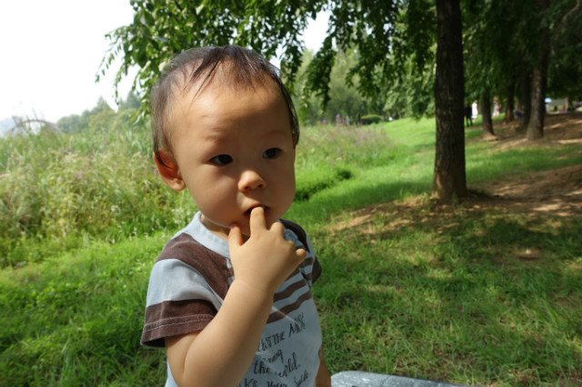 DSC08450.JPG